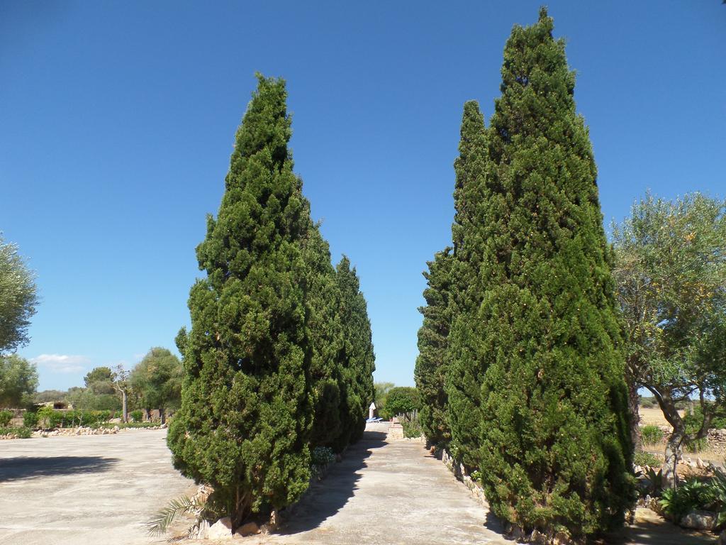 Vila Sa Bassa Crua Agroturismo Sa Torre Exteriér fotografie