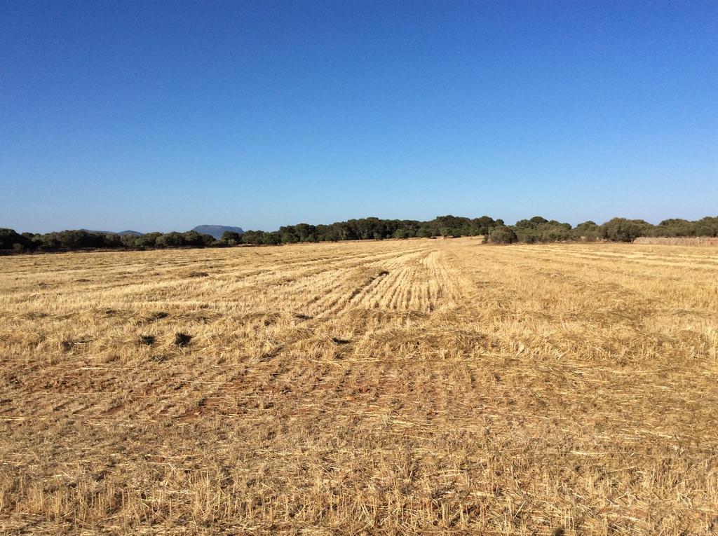 Vila Sa Bassa Crua Agroturismo Sa Torre Exteriér fotografie