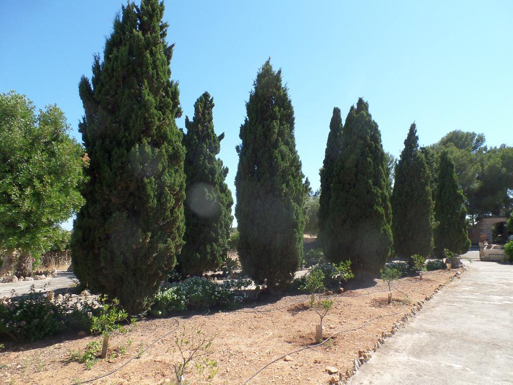 Vila Sa Bassa Crua Agroturismo Sa Torre Exteriér fotografie